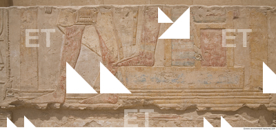 Photo Texture of Habu 0021