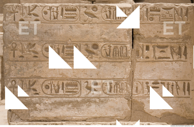 Photo Texture of Habu 0026