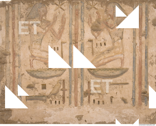 Photo Texture of Habu 0027