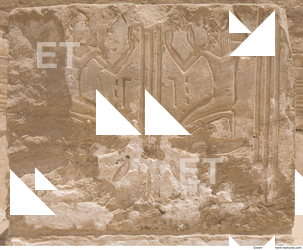 Photo Texture of Habu 0028