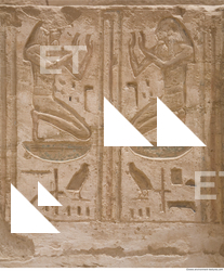 Photo Texture of Habu 0029