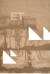 Photo Texture of Habu 0031