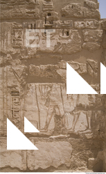 Photo Texture of Habu 0035