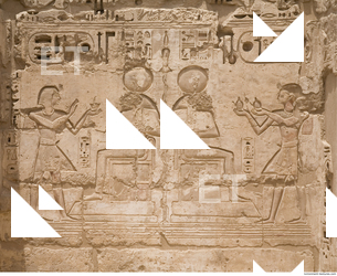 Photo Texture of Habu 0039