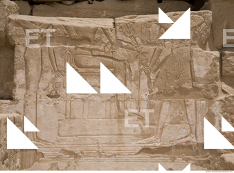 Photo Texture of Habu 0041