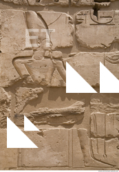 Photo Texture of Habu 0048