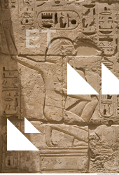 Photo Texture of Habu 0051