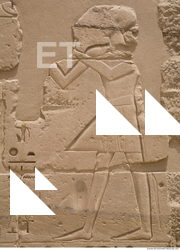 Photo Texture of Habu 0056