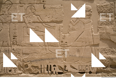 Photo Texture of Habu 0057