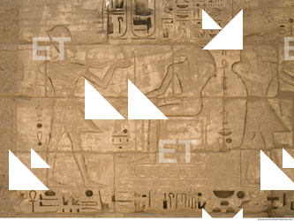 Photo Texture of Habu 0067