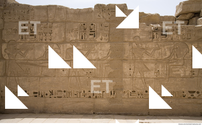 Photo Texture of Habu 0075