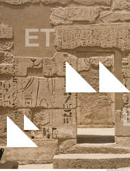 Photo Texture of Habu 0080