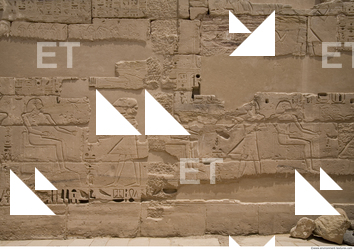 Photo Texture of Habu 0085