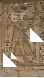 Photo Texture of Habu 0087