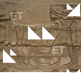 Photo Texture of Habu 0091