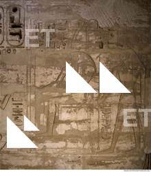 Photo Texture of Habu 0097