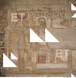 Photo Texture of Habu 0098