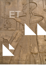 Photo Texture of Habu 0129