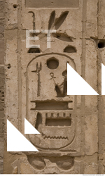 Photo Texture of Habu 0186