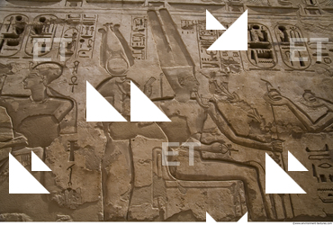 Photo Texture of Habu 0189