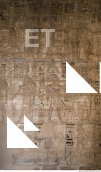 Photo Texture of Habu 0198