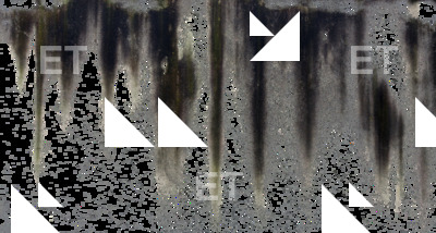 Photo High Resolution Decal Leaking Texture 0009