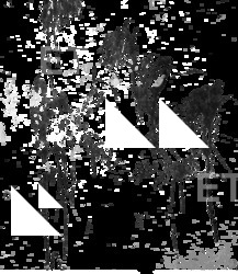 Photo High Resolution Decal Stain Texture 0001