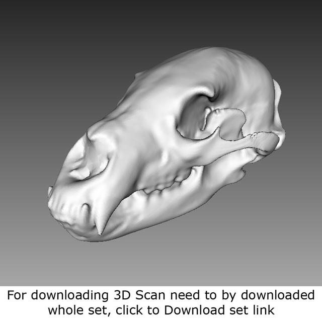 Mixed 3D Scan