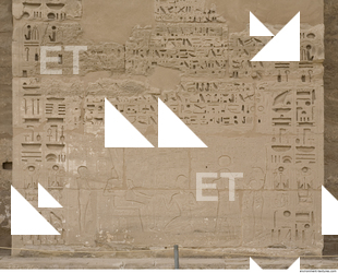 Photo Texture of Habu 0022