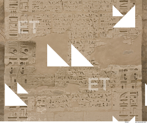 Photo Texture of Habu 0023