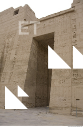 Photo Texture of Habu 0024