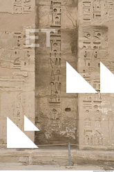 Photo Texture of Habu 0025