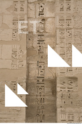 Photo Texture of Habu 0026