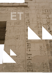 Photo Texture of Habu 0031