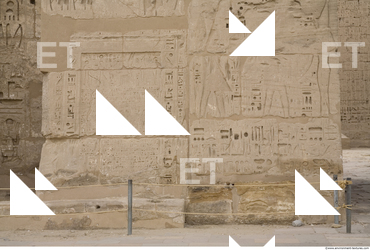 Photo Texture of Habu 0032