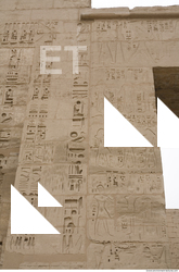 Photo Texture of Habu 0034