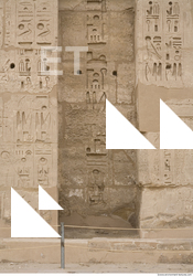 Photo Texture of Habu 0035