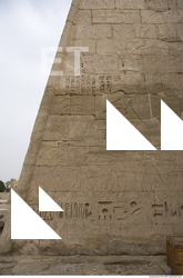 Photo Texture of Habu 0061