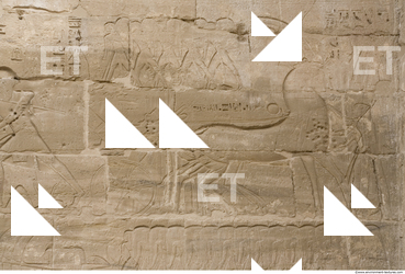 Photo Texture of Habu 0063