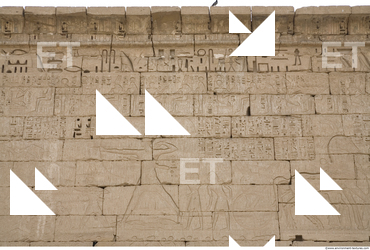 Photo Texture of Habu 0086