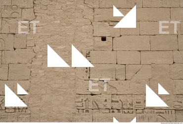 Photo Texture of Habu 0091