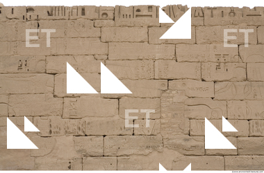 Photo Texture of Habu 0096