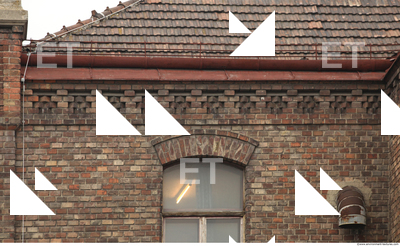 Photo Texture of Building Ornate 0007