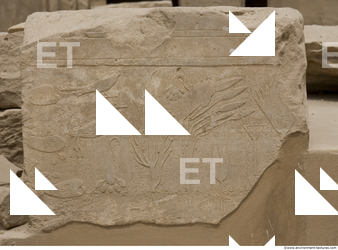 Photo Texture of Symbols Karnak 0021