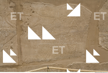 Photo Texture of Symbols Karnak 0030