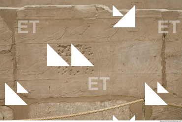 Photo Texture of Symbols Karnak 0032
