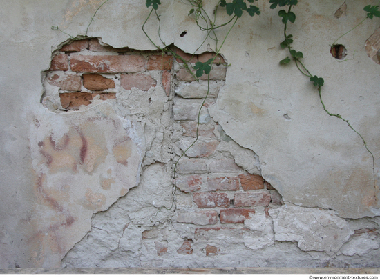 Wall Plaster Dirty