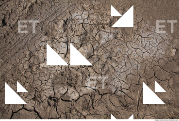 Cracked Soil