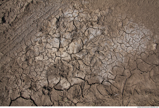 Cracked Soil