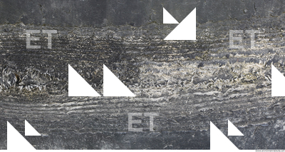 Photo Texture of Rubber 0001